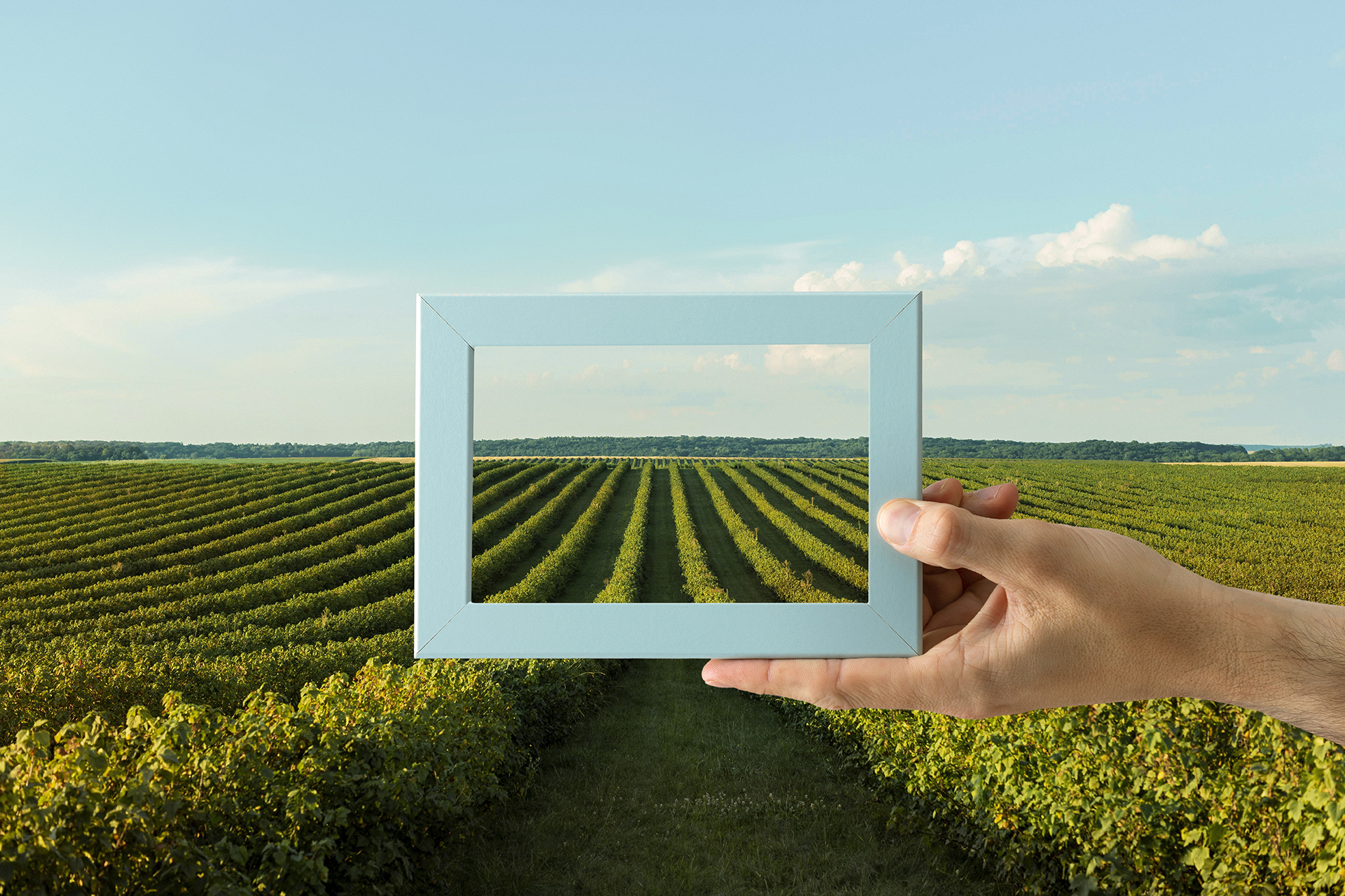 Marketing Digital Para O Agronegócio E A Sua Importância F2w